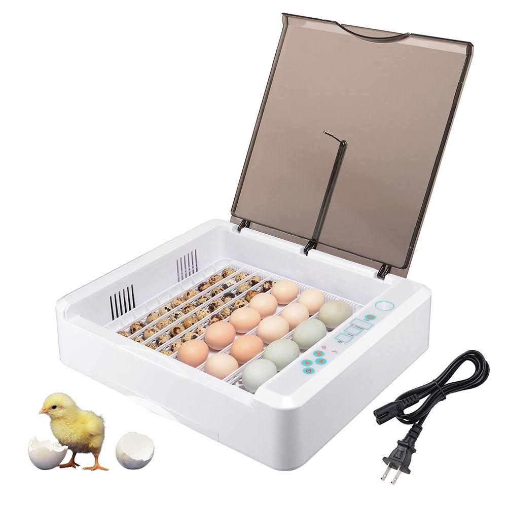36 Egg Incubator Auto Turning X24215