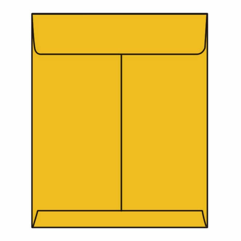 Open End Catalog Envelopes, 10x22 x 13 H244