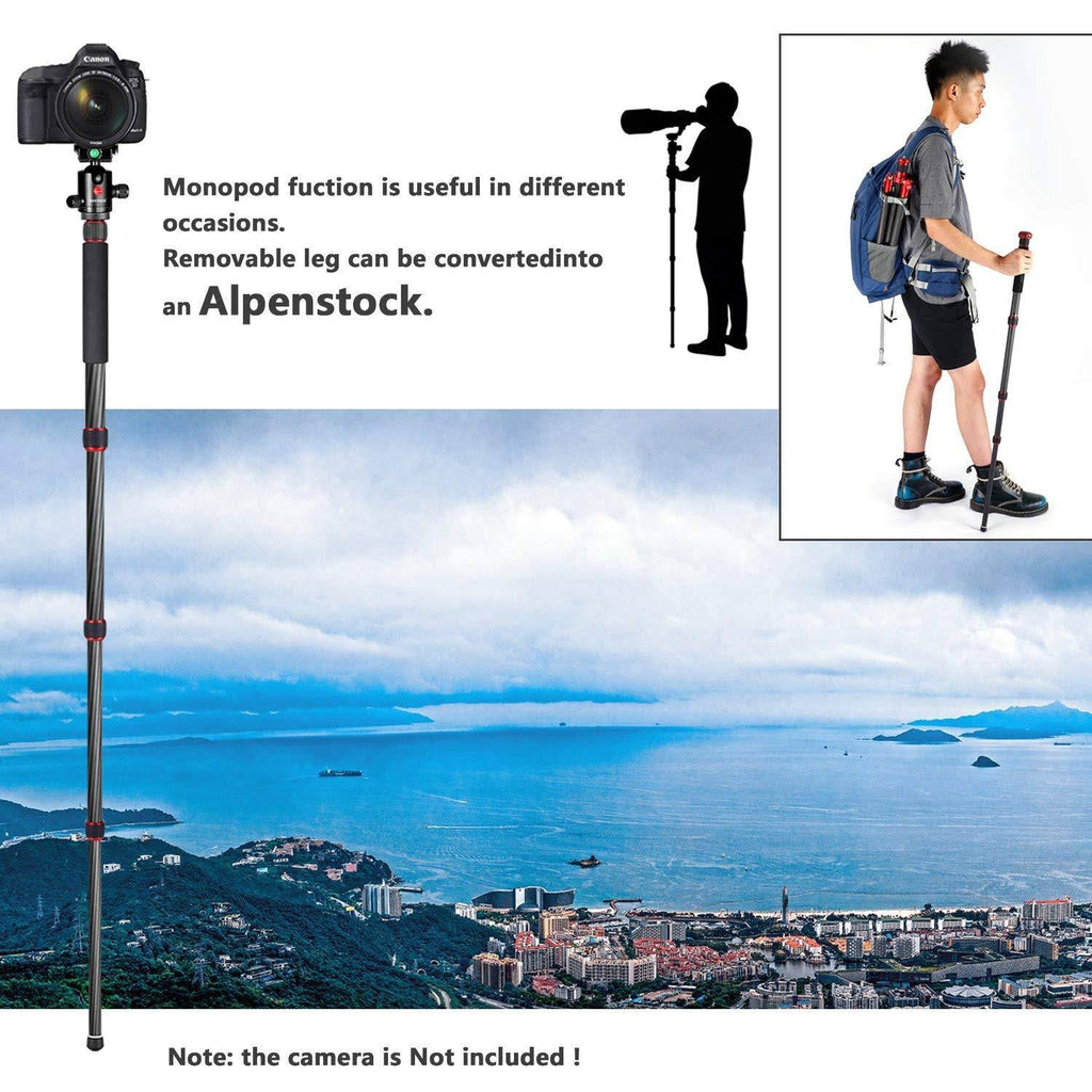 Carbon Fiber 67x22/170cm Tripod Monopod with 360 Degree Ball Head I1880
