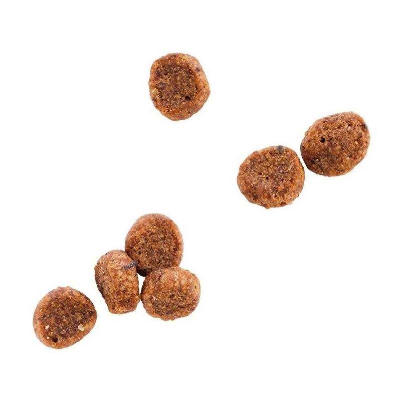 Grain Free Salmon Formula Dry Cat Food X849676