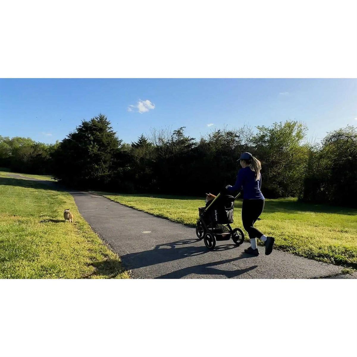 All Terrain Pet Jogging Stroller C1467