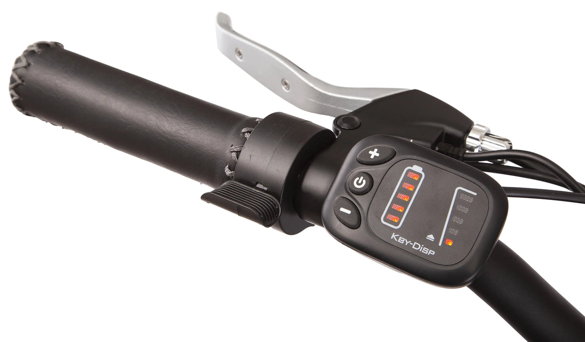 26-in. Low Step Cruiser Electric Bike 250w Motor W108783