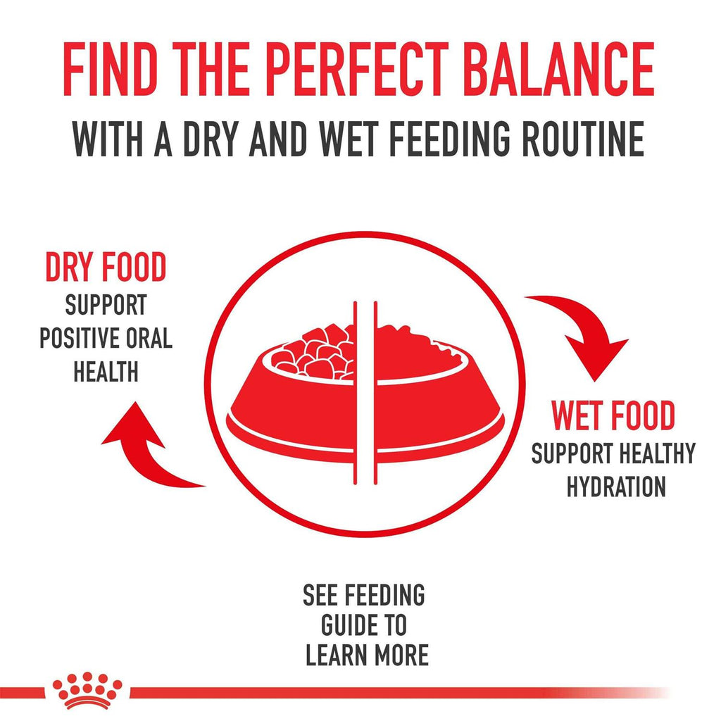 Adult Dry Dog Food Z78525