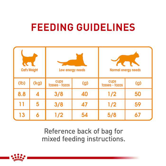 Hair & Skin Care Dry Cat Food M2808
