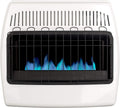 30,000 BTU Propane Natural Gas Wall Heater, White I98445