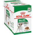 Small Adult Wet Dog Food Q207564
