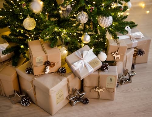 Christmas Gift Tag Adhesive Stickers, 2 x 3 Inch, Roll of 100 U427