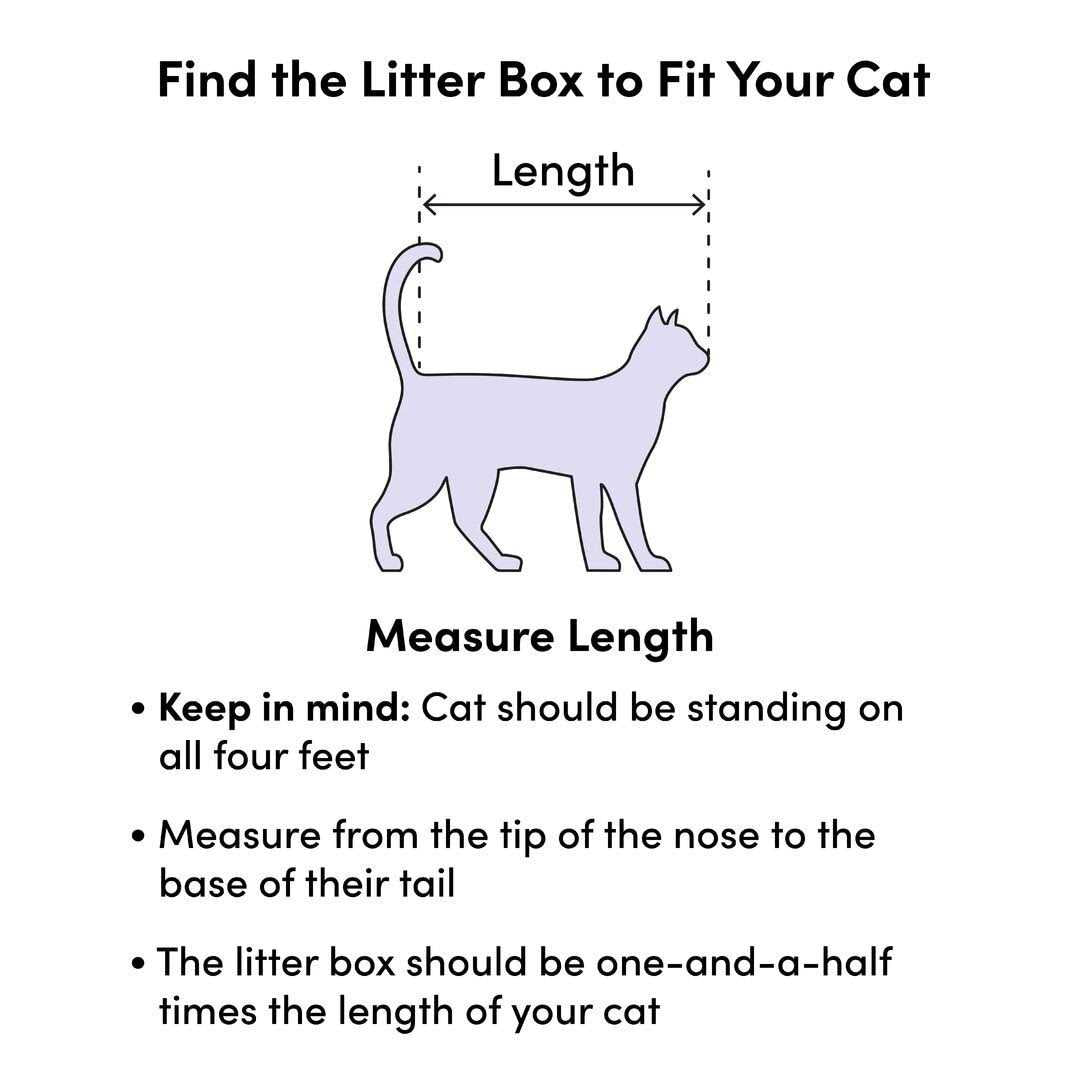 Sifting Cat Litter Box M939704