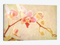 Perfume Canvas Art Wall Decor M74381
