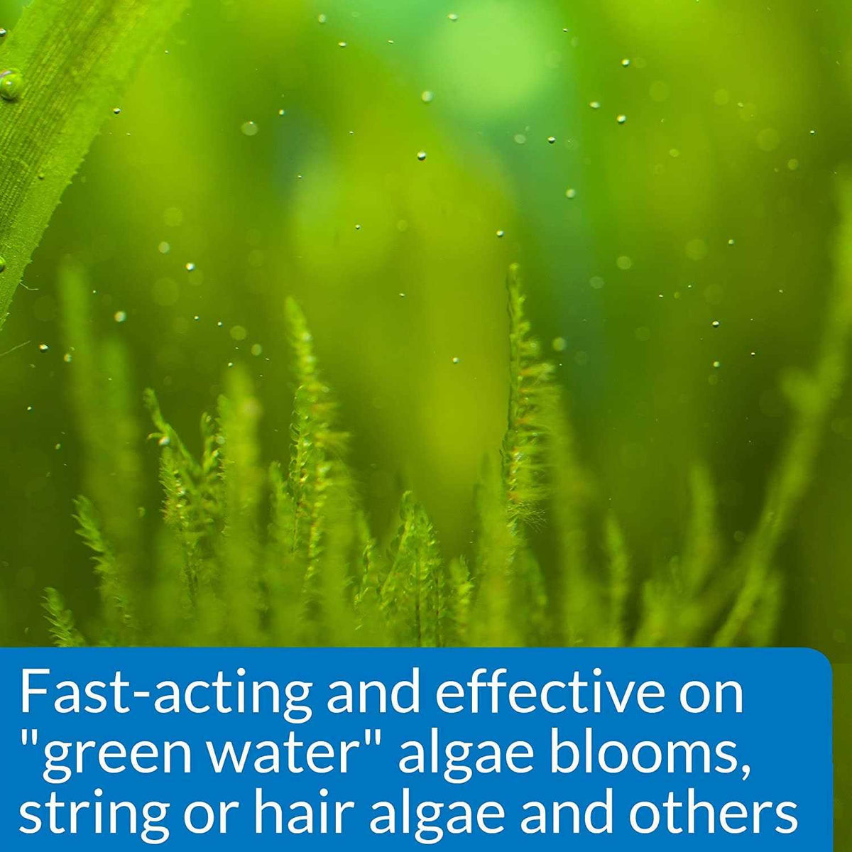 AlgaeFix Pet Supplies J139