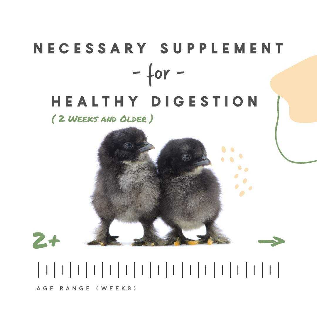 Chick Grit with Probiotics V901282