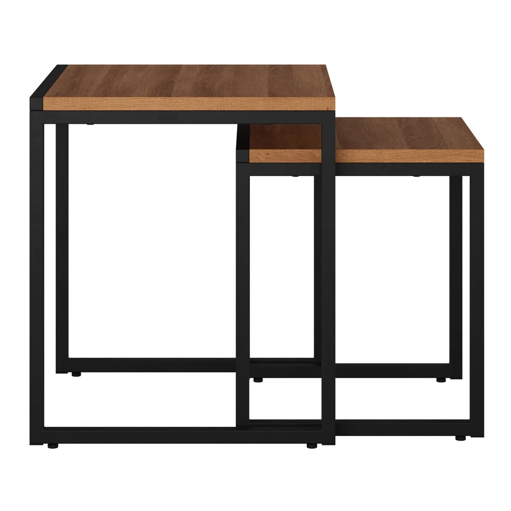 Brown Wood Grain Black Metal Nesting Side Tables F811722