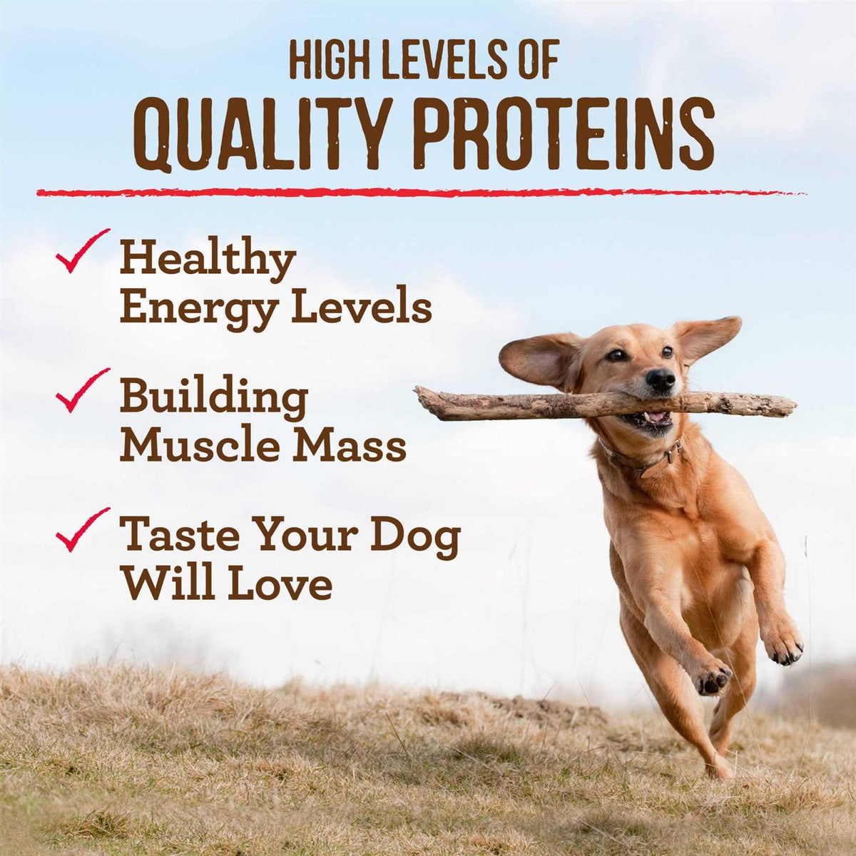 Grain Free Real Chicken Sweet Potato Recipe Senior Dry Dog Food I54470