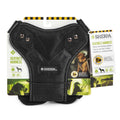 Crash Tested Seatbelt Safety Harness D2694