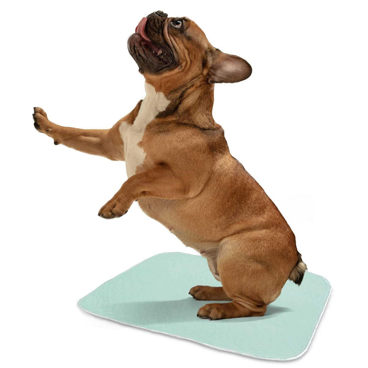 Washable Bed Pads A146982