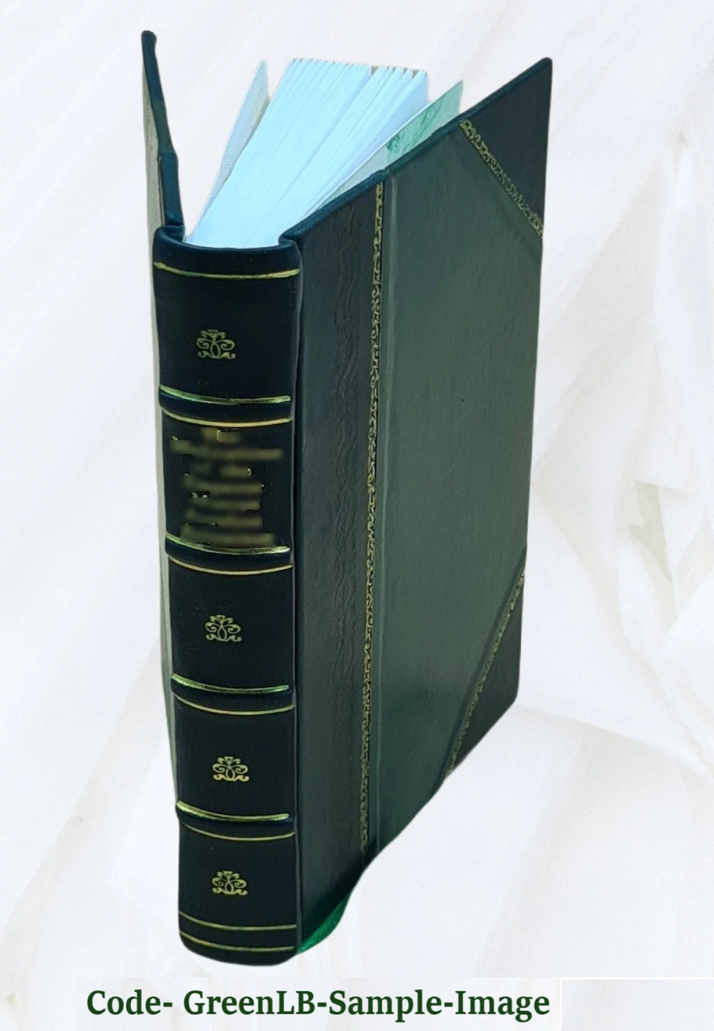 School Life Notes and Poetry Leather Bound W403