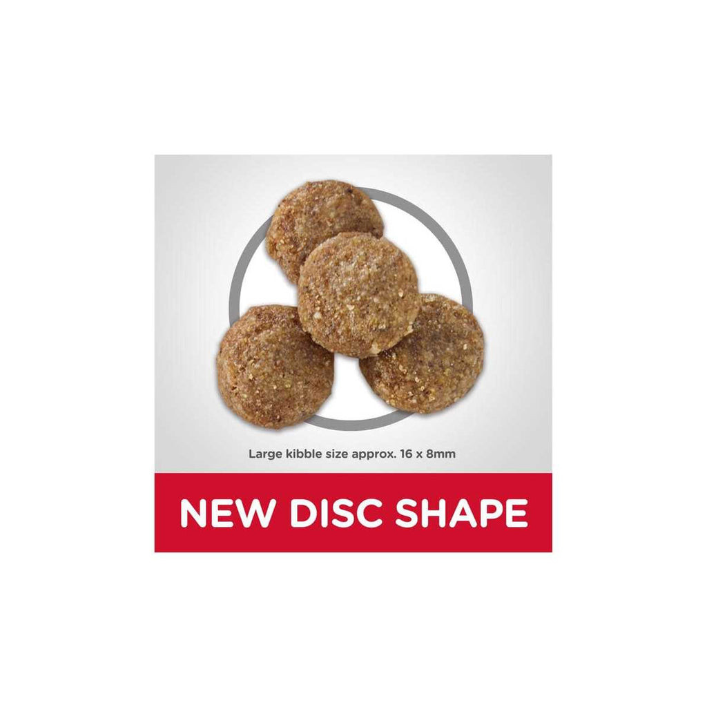 Dry Dog Food W303
