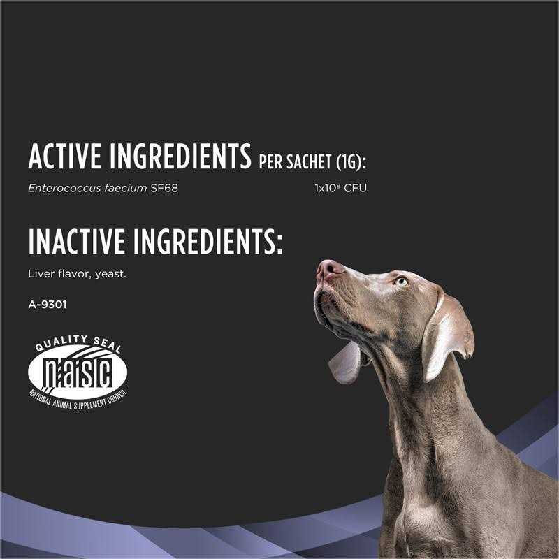 Dog Probiotic Supplement V117673