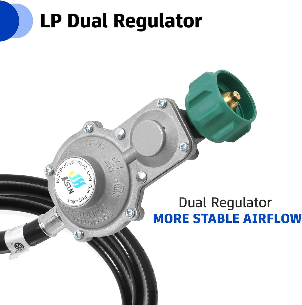 5FT Two Stage Propane Regulator with Hose W64083