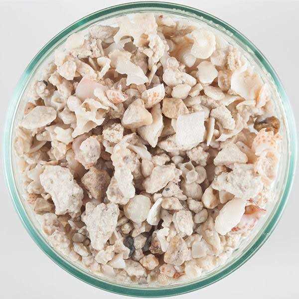 Florida Crushed Coral H6851