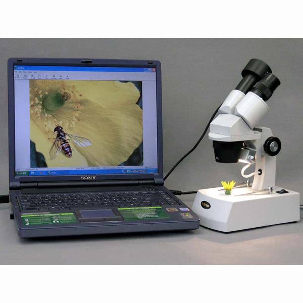Stereo Microscope with 3MP Digital Camera N637827