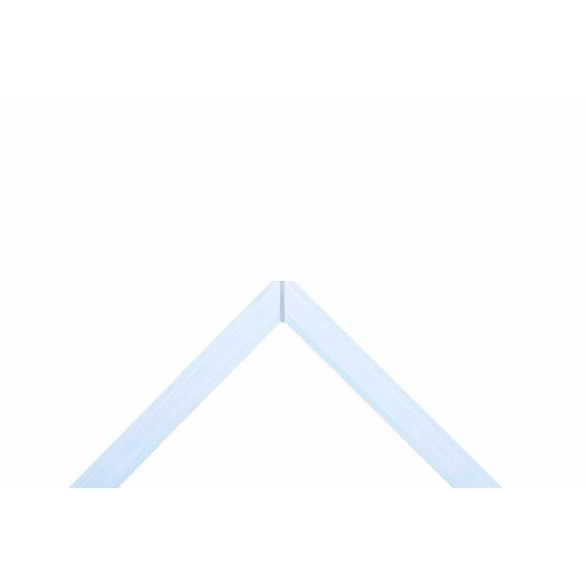 20 Gallon Ultra Clear Rimless Aquarium P8917