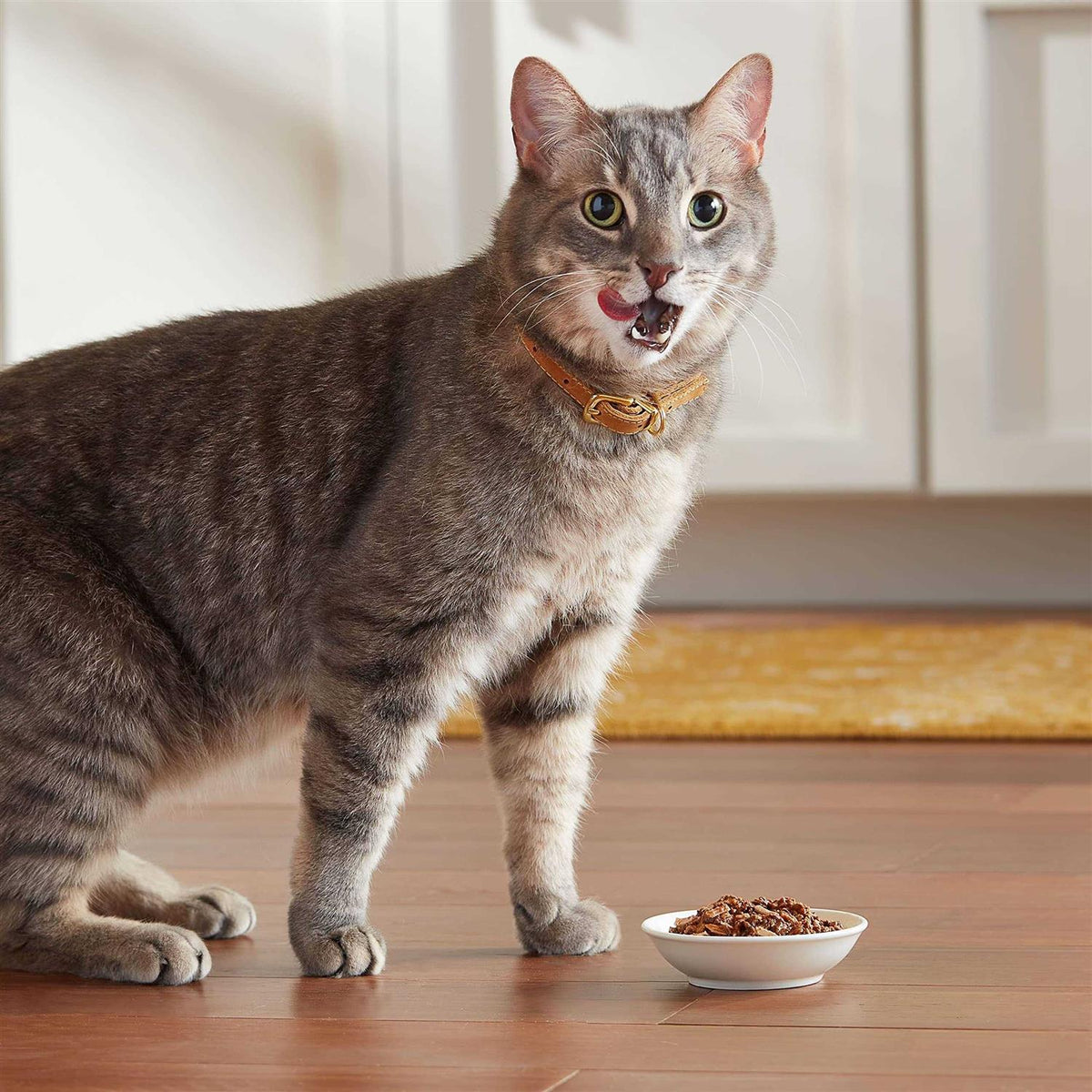 Wet Cat Food Q39684