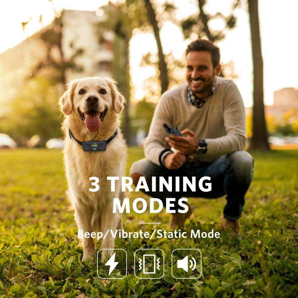 Dog Training System C7161
