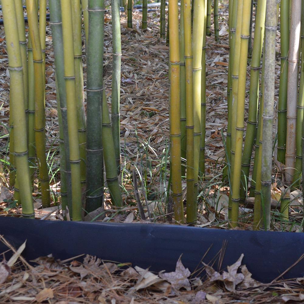 Bamboo Shield 100 Mil Thick 36in Depth 60 Feet M9964