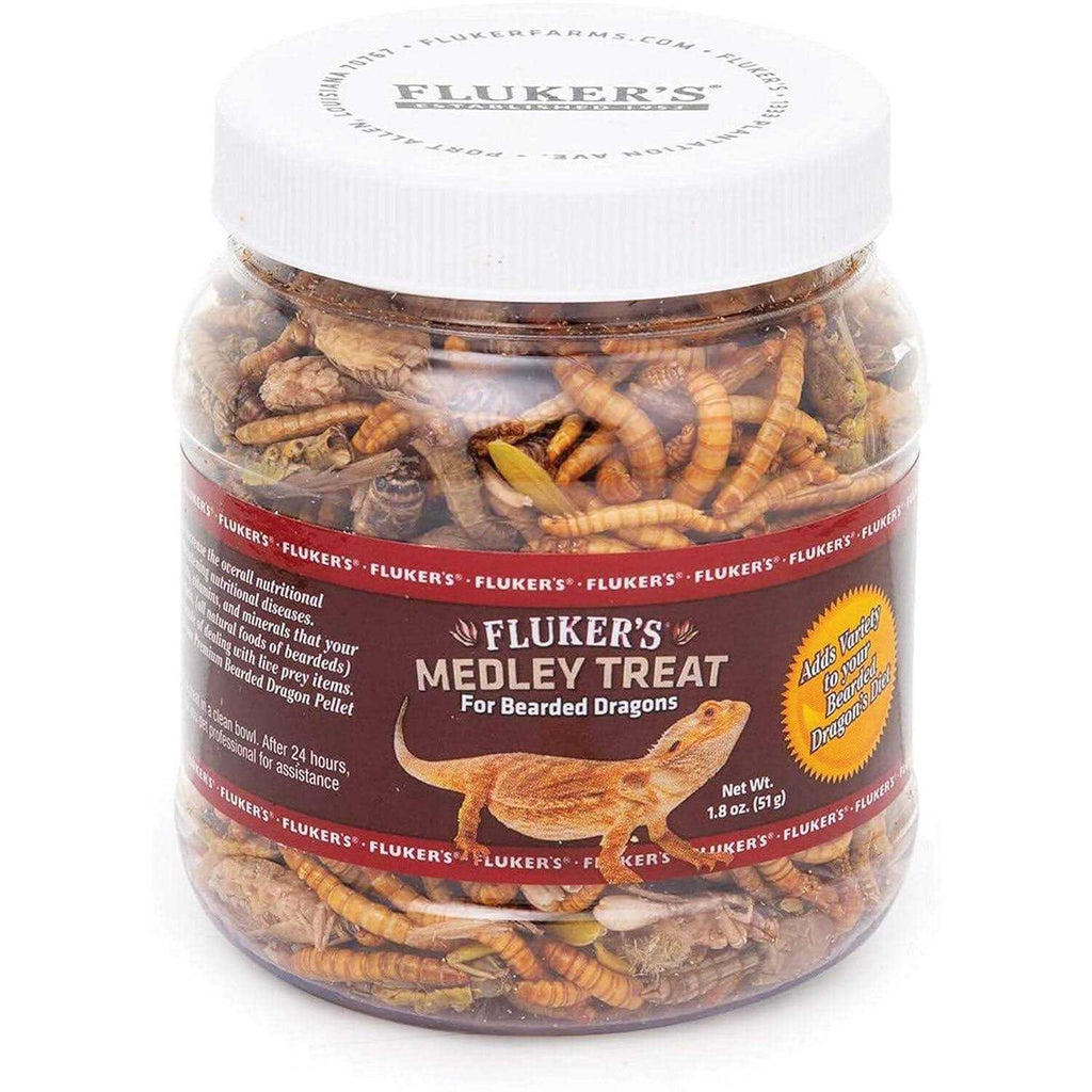 Bearded Dragon Medley Treat F362637