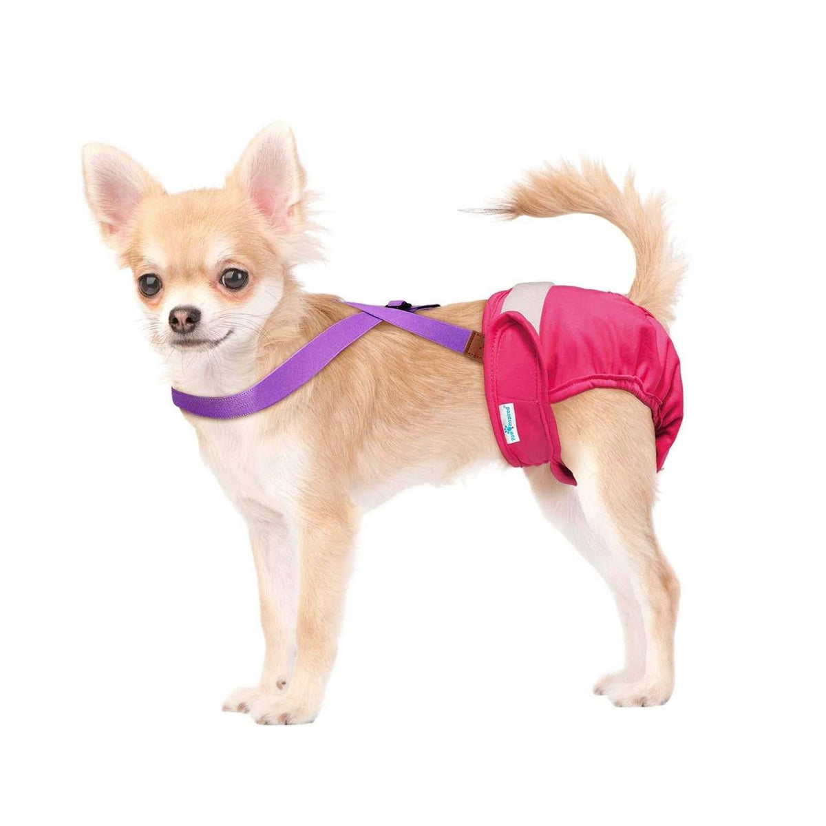 Dog Diaper Suspenders B5904