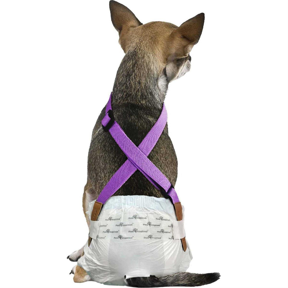 Dog Diaper Suspenders B5904