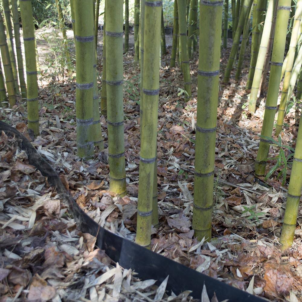 Bamboo Shield 100 Mil Thick 36in Depth 60 Feet M9964
