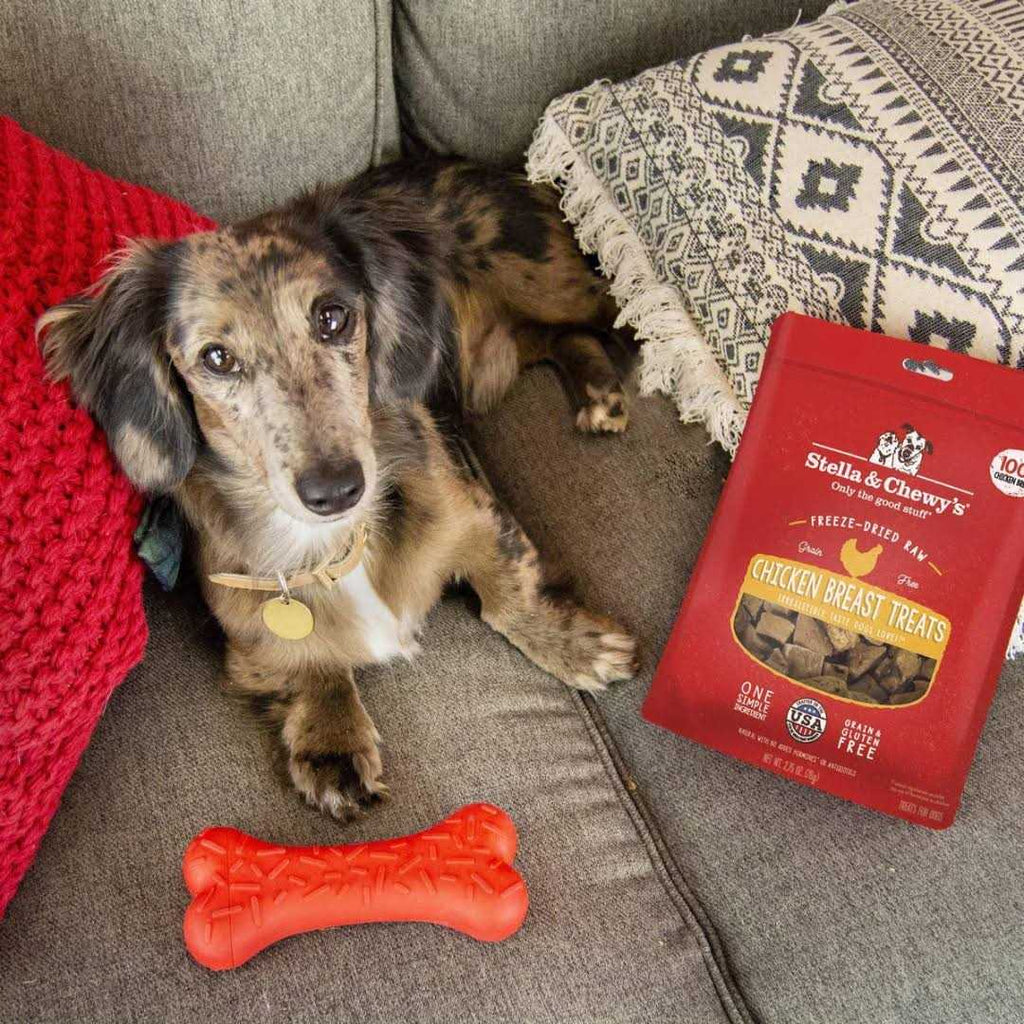 Beef Freeze Dried Dog Treats Z3574