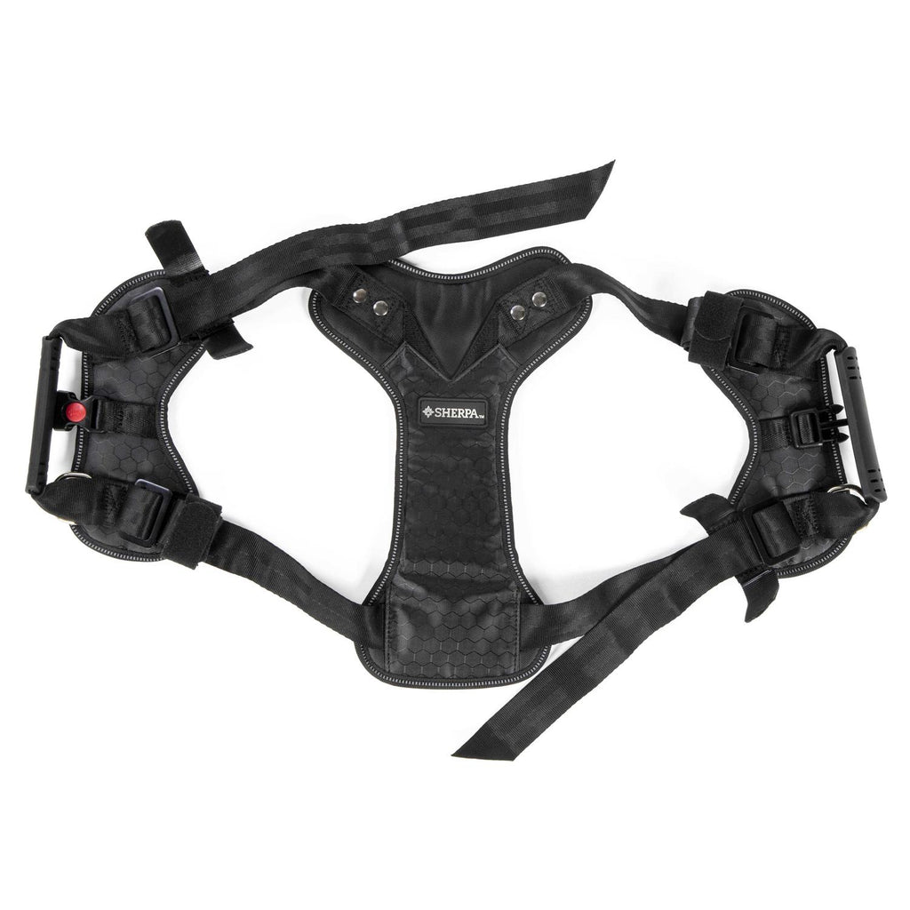 Crash Tested Seatbelt Safety Harness D2694