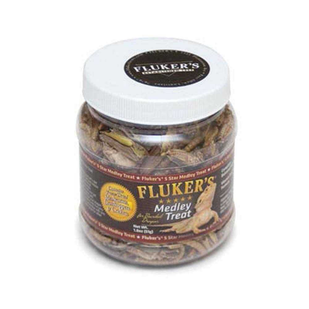 Bearded Dragon Medley Treat F362637