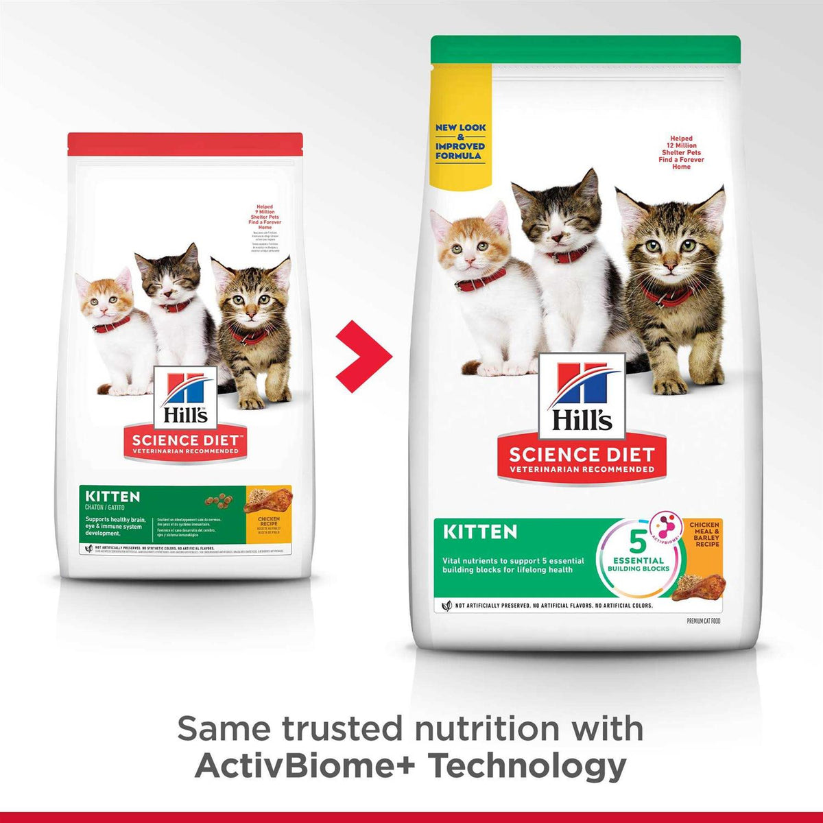 Indoor Kitten Dry Food K131904