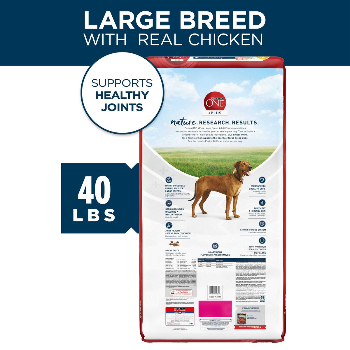 Natural Large Breed Adult Dry Dog Food U784