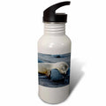 21 oz Sports Water Bottle B427238