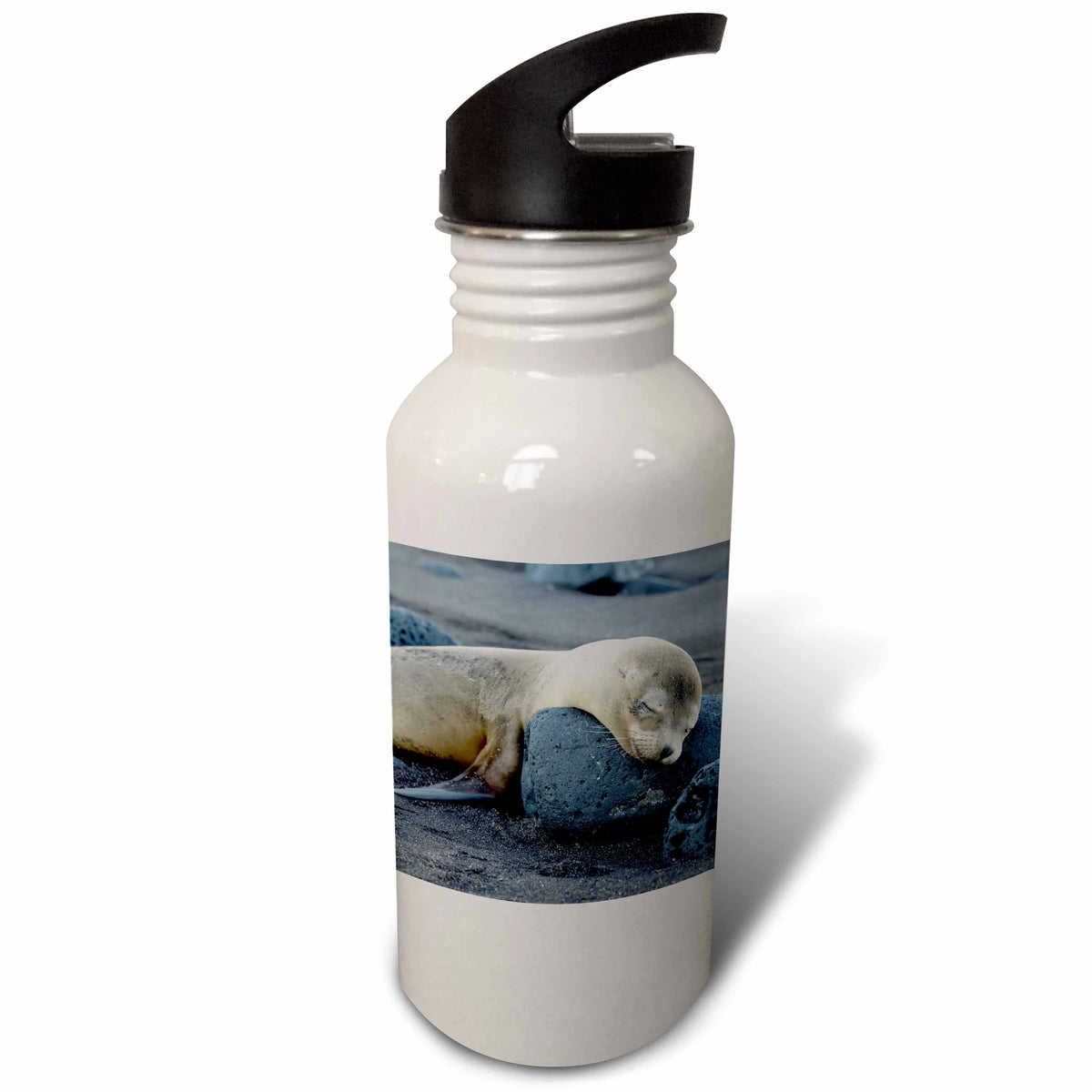 21 oz Sports Water Bottle B427238
