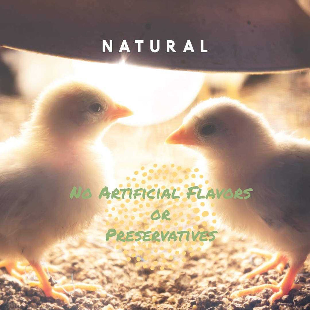 Chick Grit with Probiotics V901282