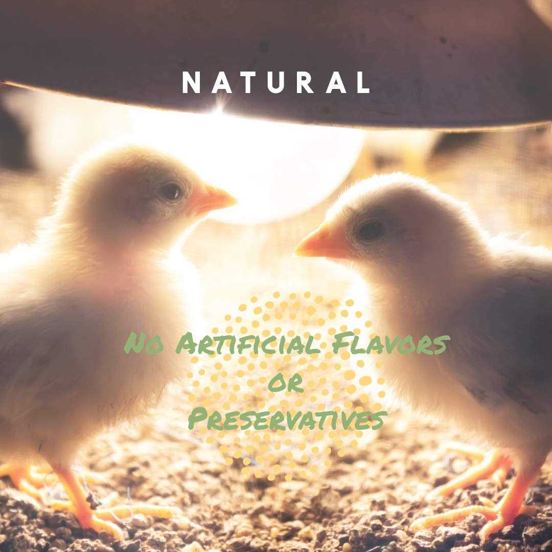 Chick Grit with Probiotics V901282