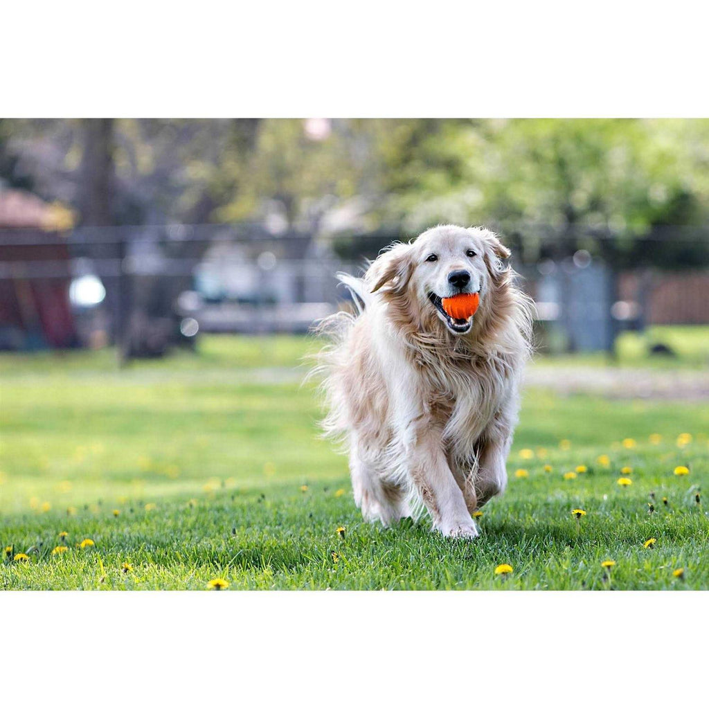 Pet Supplies G76310