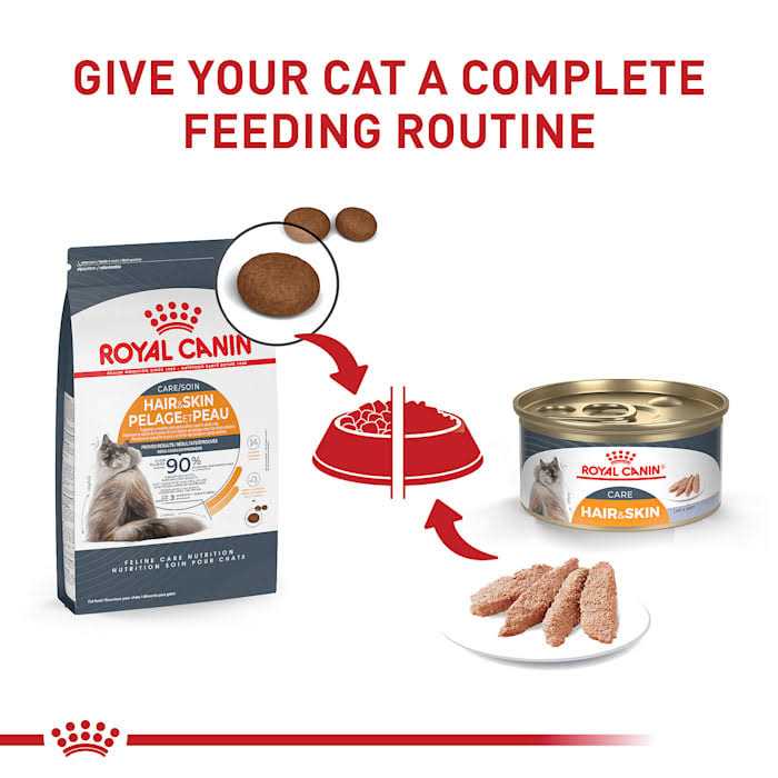 Hair & Skin Care Dry Cat Food M2808