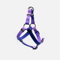 Waterproof Step-In Harness R52212