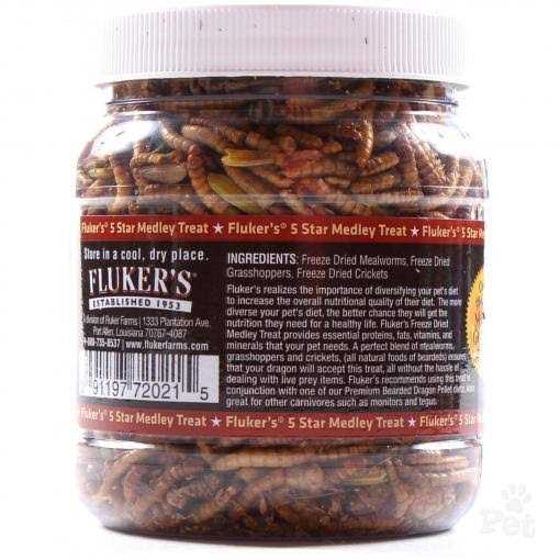 Bearded Dragon Medley Treat F362637