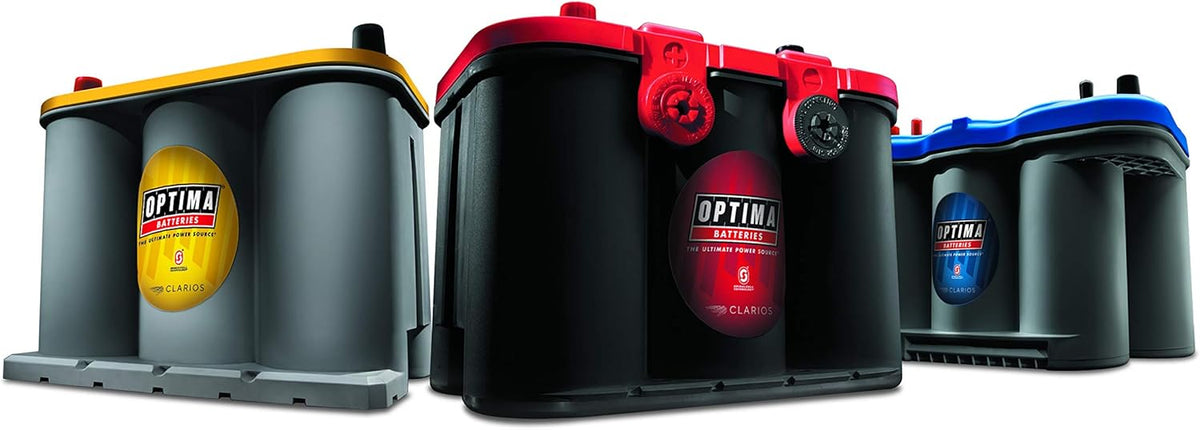 YellowTop Dual Purpose Battery D21806