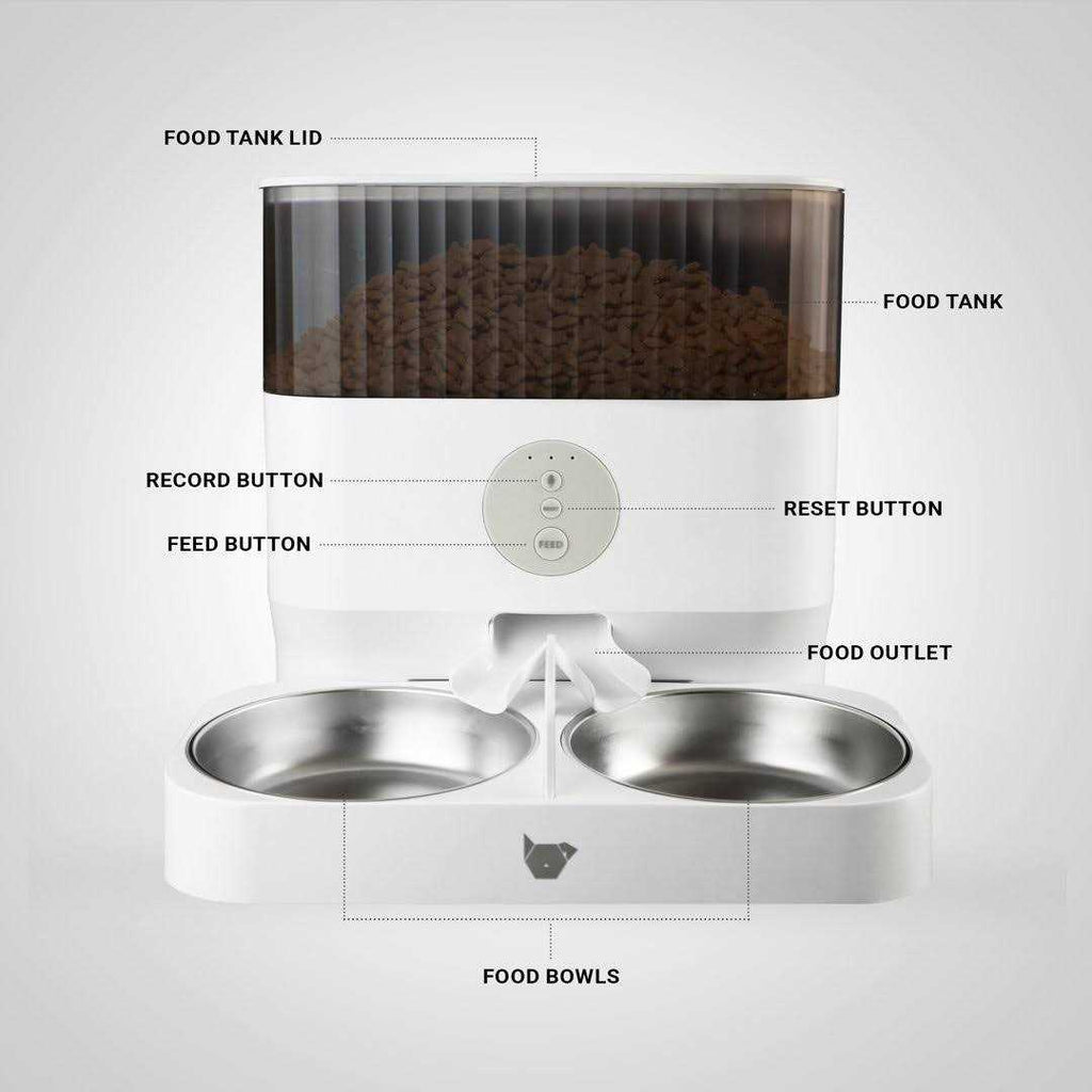 Double Automatic Pet Feeder G820