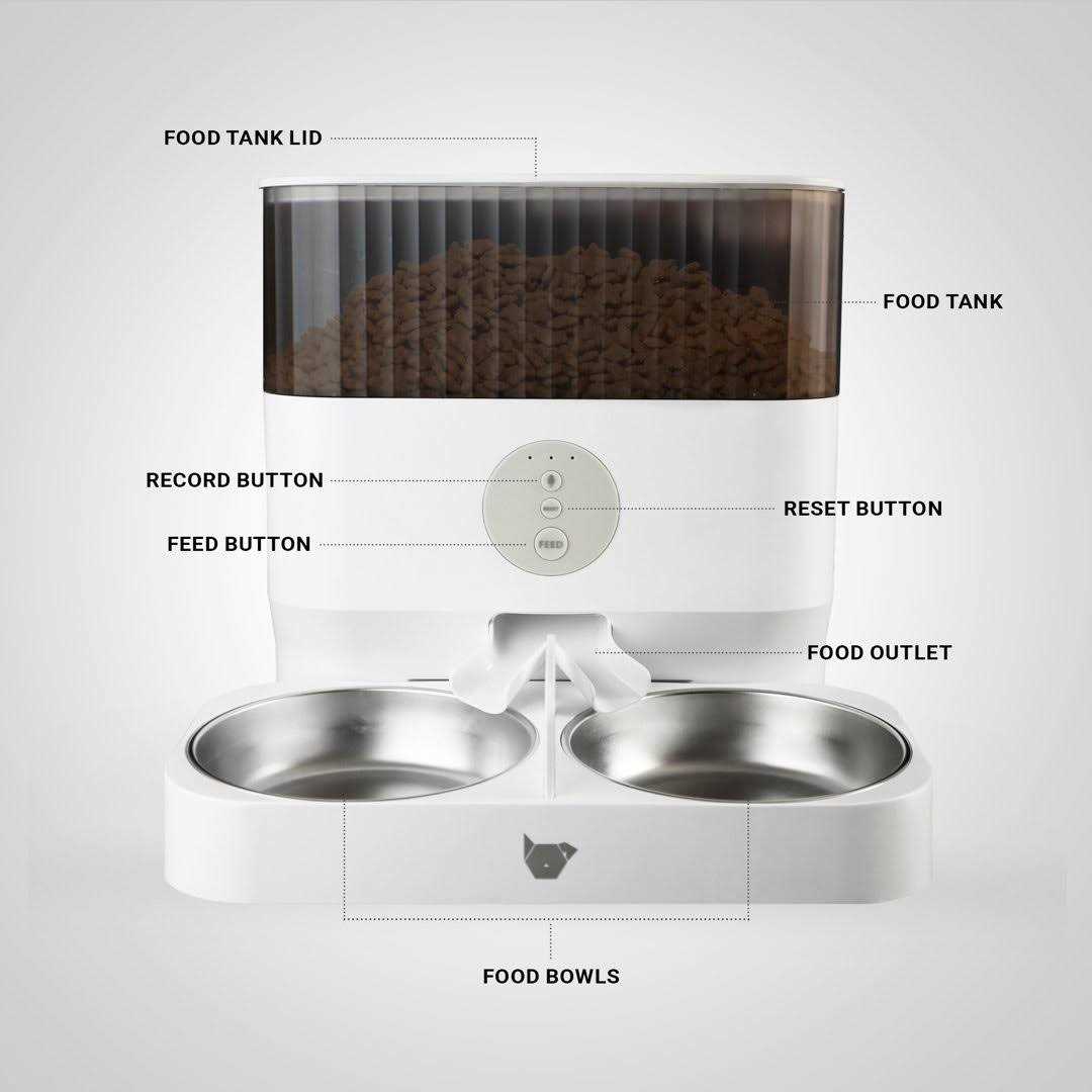 Double Automatic Pet Feeder G820