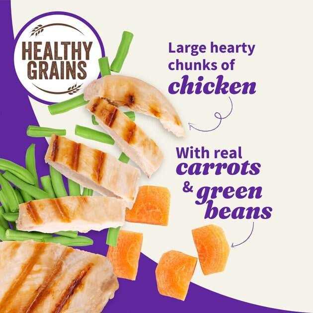 Chunky Chicken Stew L19158